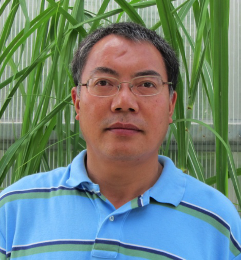 Xiaoguo Zhang